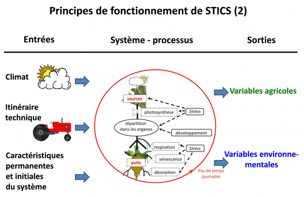 Principes de fonctionnement de Stics : climat, itinéraires techniques, sol, plante et initialisation